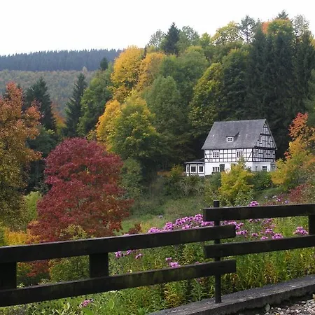 Penzion Pension-gasthof-haus Im Wiesengrund *