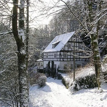 Penzion Pension-gasthof-haus Im Wiesengrund